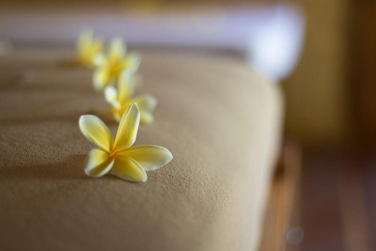 Baha Baha Villas West Sumbawa Yoyos - Free Yoga Class, Gym Daily Included For Guest - Fast Wifi Starlink Sekongkang Екстер'єр фото
